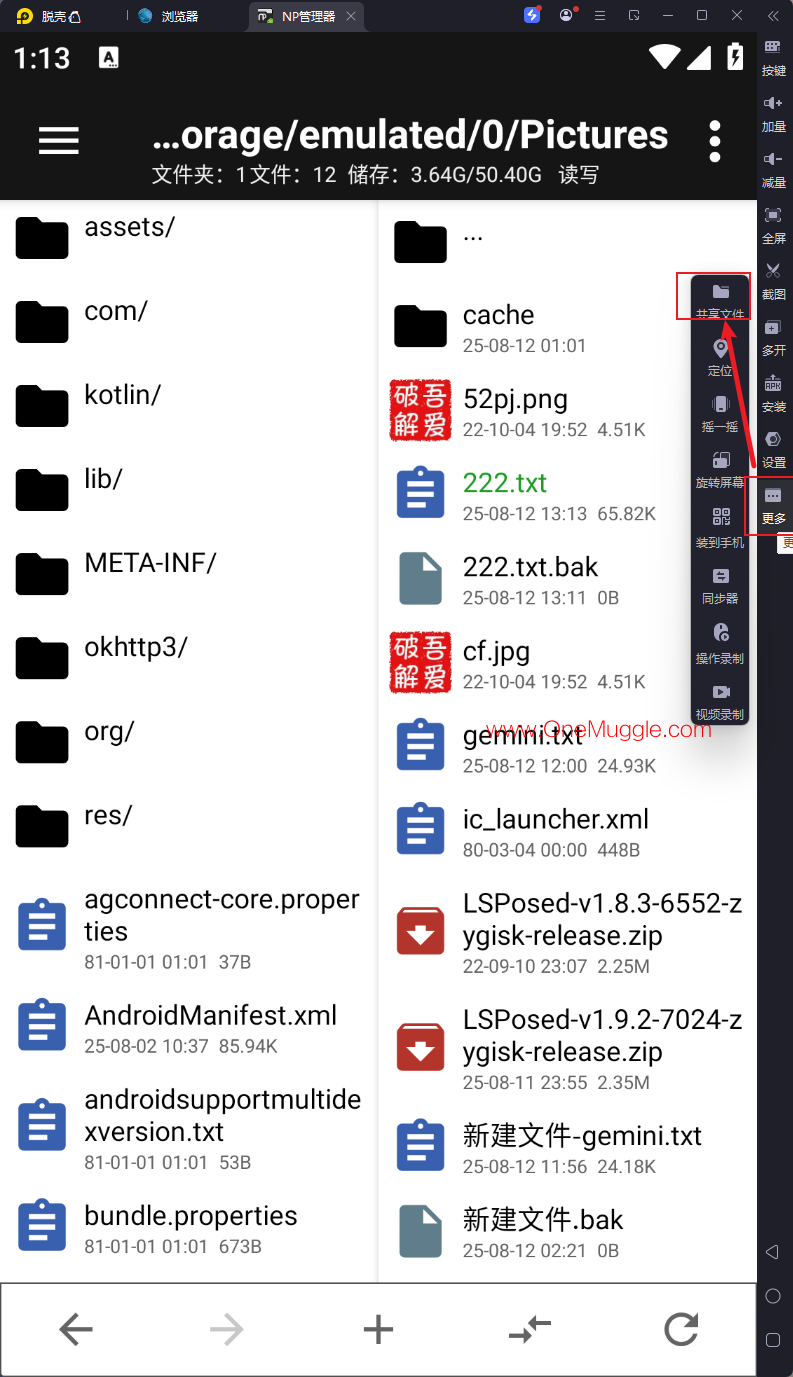 2025-08-12_13-14-20.png
