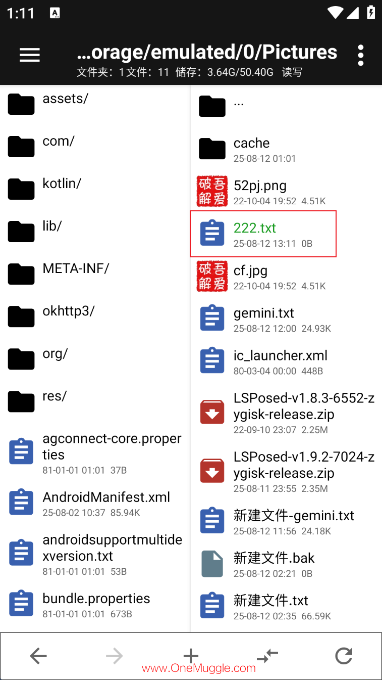 2025-08-12_13-11-55.png
